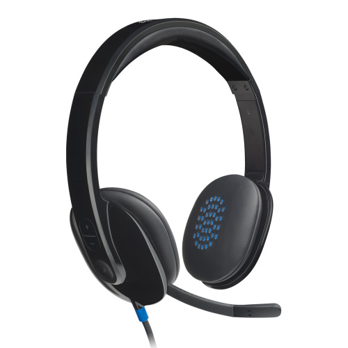 Logitech H540 (USB)