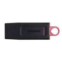 Kingston 256GB  (DTX/256GB)Data Traveler Exodia