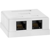 Bajeal Mount Box 2Port RJ45 Cat5e Unshielded