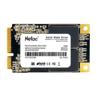 NETAC N5M 256GB mSATA